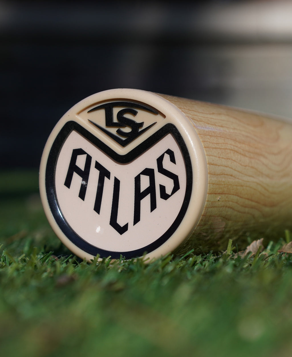 AtlasModel1(1).jpg