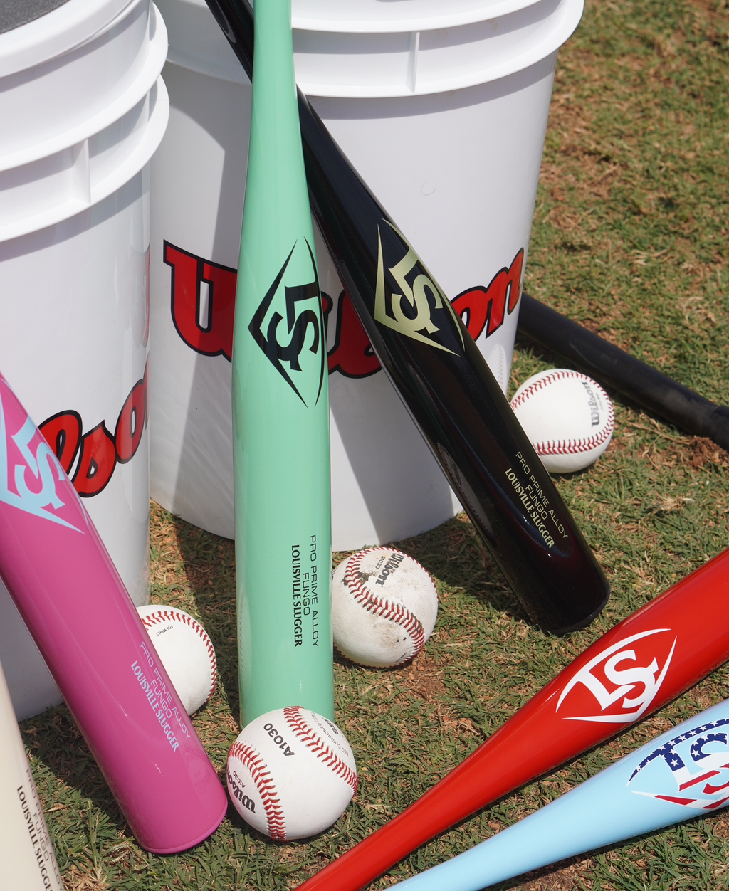 LSAlloyFungo1.png