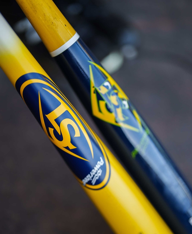 Pro Prime Savannah Bananas CB35 Maple Baseball Bat | Louisville